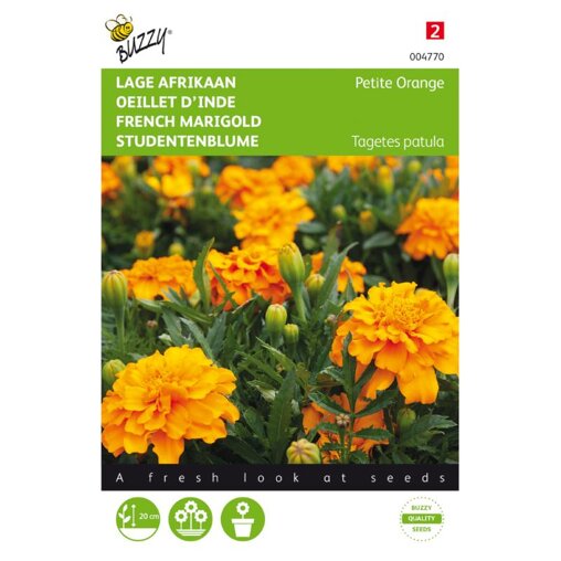 Buzzy ® Tagetes patula nana Petite Orange